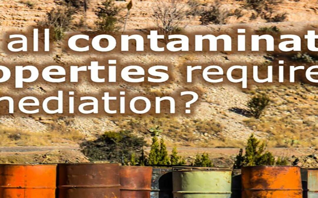 Viable Solutions in Contaminated Property Transactions: Part 4